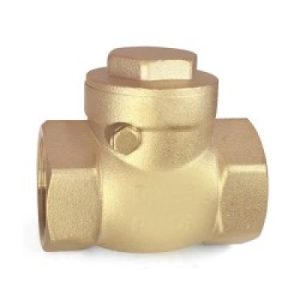 Non Return Swing Type 1in