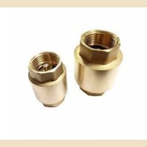 Non Return Valve 2in Spring